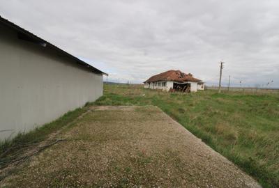 Hala in Foltesti - 6