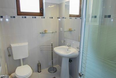 Fully furnished villa in Pipera - 31