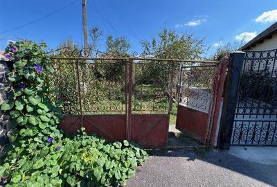 De vanzare casa veche+teren de 50 arii in Vidrasau - 2