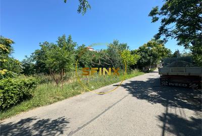 Teren 5341 mp acces dublu Prelungirea Ghencea - 10