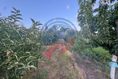 Casă de vânzare în Comuna Orodel – proprietate îngrijită, gata de locuit și cu p - 5