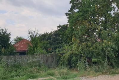 Teren intravilan cu deschidere la lac Snagov – 1.976 mp, utilități - 6