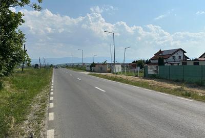 Teren 18.100 mp pentru dezvoltare in Sura Mica / jud. Sibiu - 4