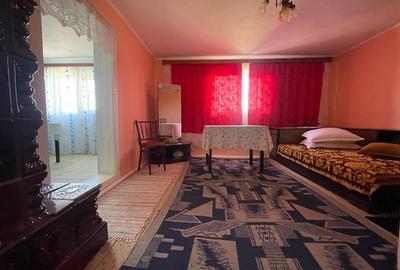 CASA LA TARA | 6770MP TEREN | JOSANI | BIHOR | - 8