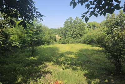 Branesti/Pasarea/Piteasca casa de vanzare deschidere la lac - 4