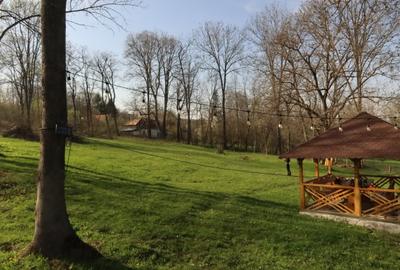 Conac de vânzare | Provița de Sus | 10.000 mp teren | 2 case | 6 dormitoare - 6
