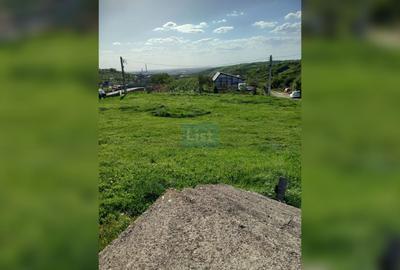 TEREN INTRAVILAN 1.938 MP | PALEU – ORADEA | COMISION 0% CUMPĂRĂTOR - 3