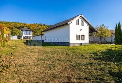 Casă 4 camere, garaj, foișor, grajd, 6000mp teren lângă padure - 29
