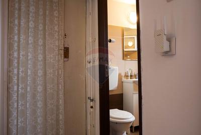 Apartament cu 3 camere de vânzare în zona Rahova - 18
