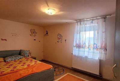 Casa+ hala,cu gradina si livada,Felecheriu,Osorhei,Bihor - 17