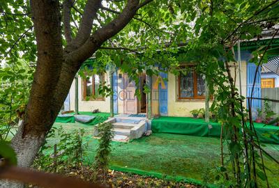 Casă interbelică + 3.060 mp intravilan, Trifești, 7,9 km de Roman - 14