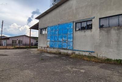 Spațiu Industrial și Logistic - 10