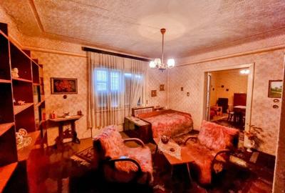Casă mare, Parter + Etaj, la Vasiova, pe strada Principală (Tudor Vladimirescu) - 10