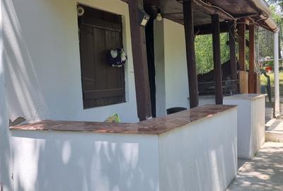 Proprietate de vanzare in Golești - 10800 mp teren și două case - 3