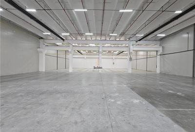 Spatiu Comercial - 900 mp - Showroom - Depozitare - 9