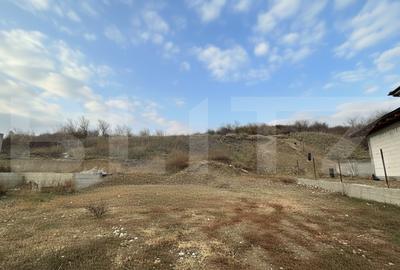 Teren Construcții intravilan de 10200 mp, în Dealuri Oradea