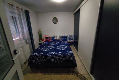 VIILE NOI - casa cu o curte generoasa disponibila imediat - 9