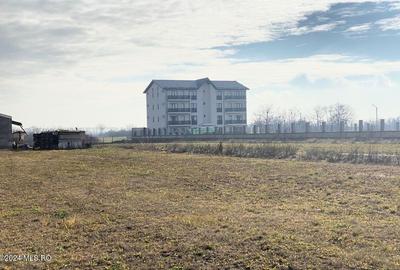 Afumati - Str. Iasomiei, 2409 MP, stradal, intravilan, deschidere 12 m - 18