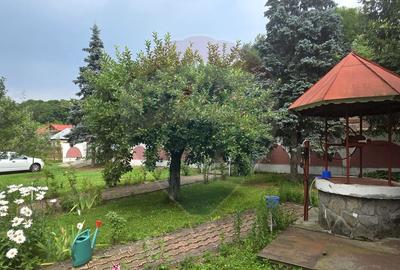 Casa de vanzare langa padure | Tatarani | 190 mp utili | Teren 917 mp - 5
