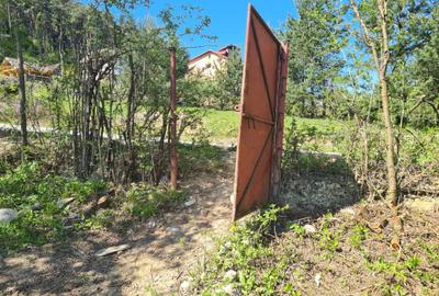 Teren deosebit - 1500 mp, Poiana Angelescu, Str. Livezii - 4