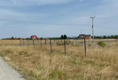 Teren intravilan 1.000 mp | Sâmbăta de Sus | Munții Făgăraș - 2