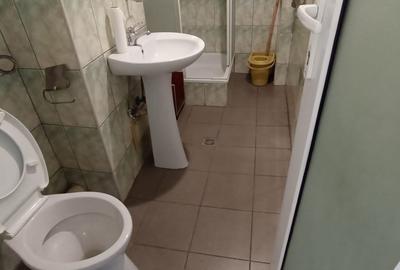 Vanzare apartament 3 cam la parter cu balcon stradal zona Parc Sebastian sect 5 - 9