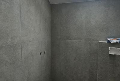 Inchiriez casa singur in curte ,recent renovata situata in Selimbar,zona P.Brana - 10
