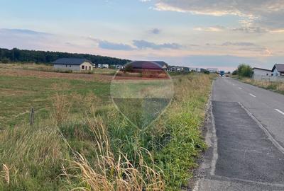 Teren 5,000mp Samurcasi / Strada Guliei - 4