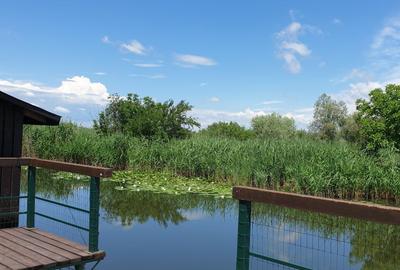 Dimineți pe ponton, seri la piscină – viața la Snagov - 3