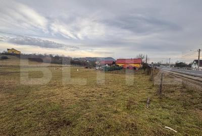 Teren Construcții intravilan de 2800 mp, în Sud