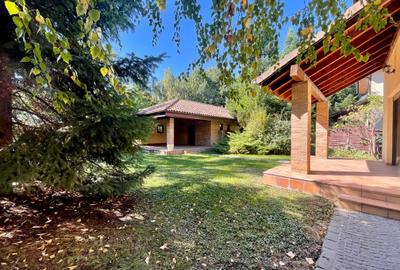 Pine House, mutare imediata, gradina matura, caramida, Paradisul Verde, anexa - 3