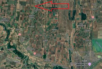 21,66 Ha Teren Compact – Pechea (Galați) – Potențial Energetic & Agricol - 2