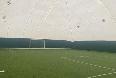 Teren cu gazon sintetic IZVIN - 1