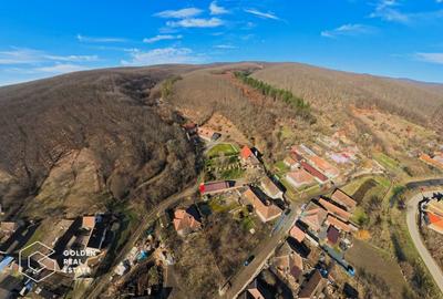 Proprietate pretabila pentru afacere, Cladova - 38