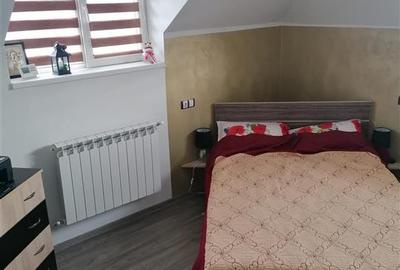 Vila P+1, complet Mobilata si Utilata, Renovata, Varsatura - 9