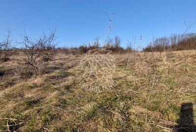 Teren Construcții extravilan de 2100 mp, în Sud