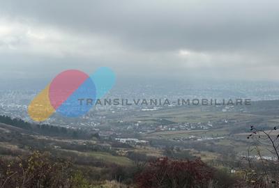 Teren extravilan 1000 mp, Valea Fanatelor - 3