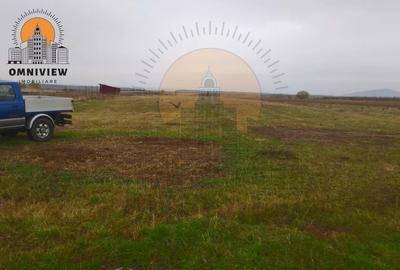 Teren intravilan Dobolii de Jos 47.700 mp | PUZ+autorizație | POT 50% - 7