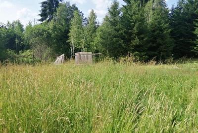 Teren intravilan in Izvoru Muresului str. Taberei - 4