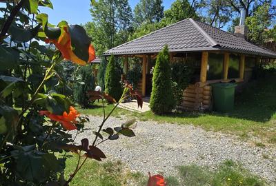 Casa de vis în inima naturii – Valea Doftanei, Prahovaa - 4