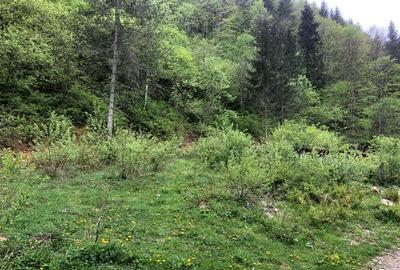 Teren pentru cabana Racatau - 1