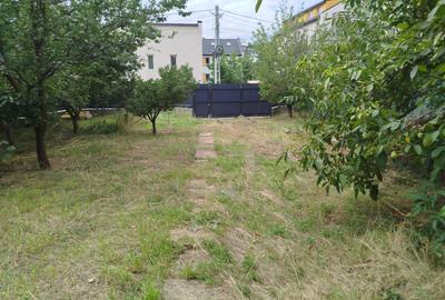 Vila Rediu cod 156955 - 13