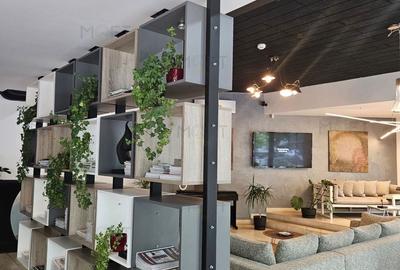 SPATIU COMERCIAL CLADIRE DE BIROURI SHOWROOM SAU ALTE ACTIVITATI - 3