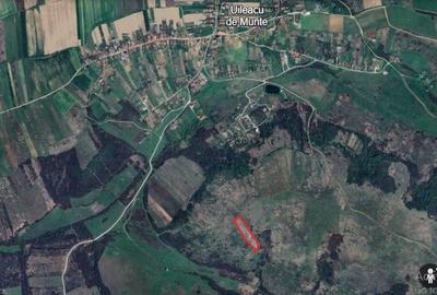 Teren extravilan de 8300 mp, în Uileacu de Munte