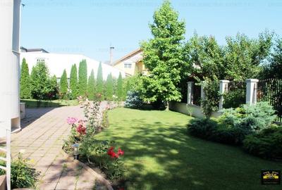 PIPERA IANCU NICOLAE - 12