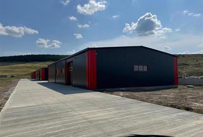 Parc Logistic in Miroslava alcătuit din 5 hale - 6