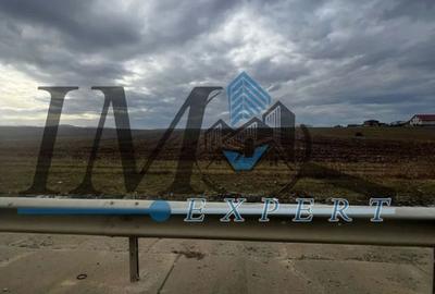 Teren extravilan de vânzare - 1