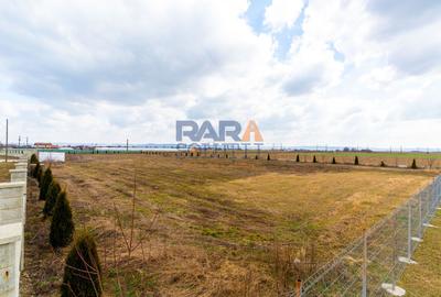 Teren 7.092 mp cu PUZ aprobat + Autorizatie / investiție autostrada A7 - 5