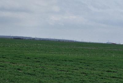 Loturi teren  construibil - 8