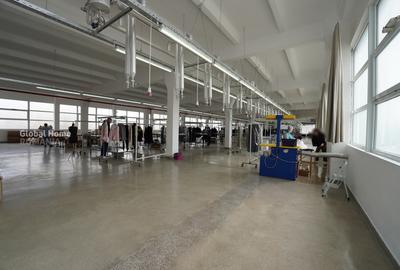 Platformă comercial–industrială cu venit activ || Macin - Tulcea - 12